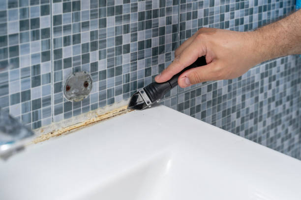 Best Home Mold Removal  in Fairview, NC