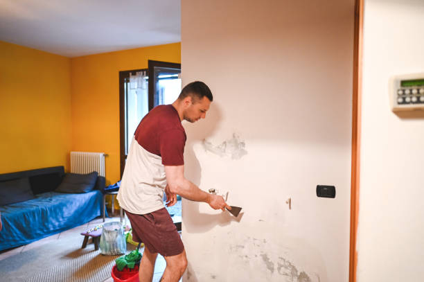 Best Attic Mold Removal  in Fairview, NC